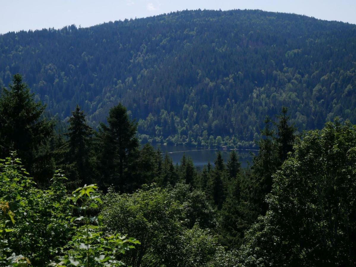 Haus Vita Ferien- Und Seminarhaus Urberg Buitenkant foto
