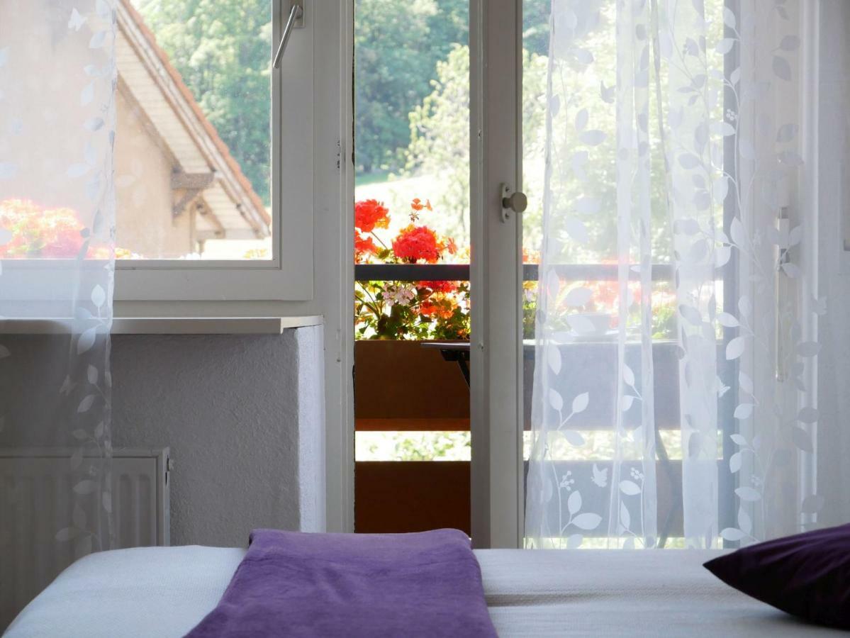 Haus Vita Ferien- Und Seminarhaus Urberg Buitenkant foto